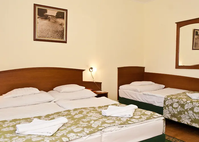 クラストロム ホテル 3*